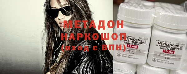 гидра Ельня