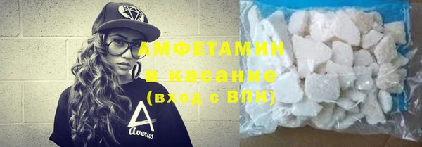гидра Ельня