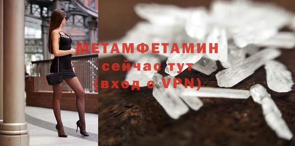 гидра Ельня