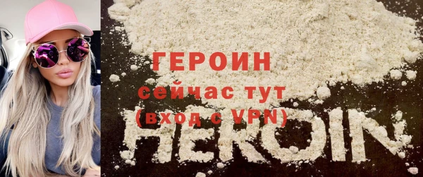 гидра Ельня