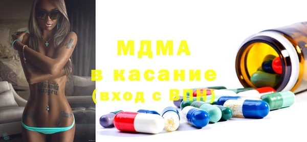 гидра Ельня