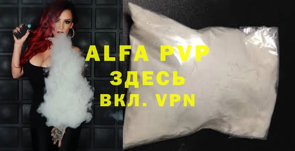 гидра Ельня