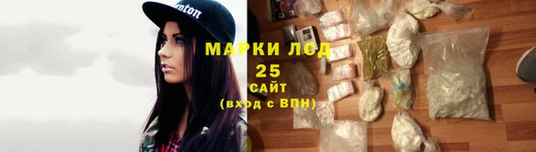 гидра Ельня