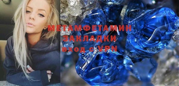 гидра Ельня