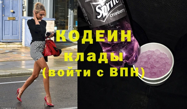 гидра Ельня