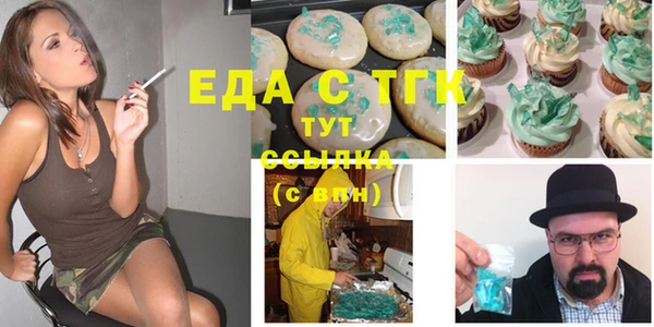 гидра Ельня
