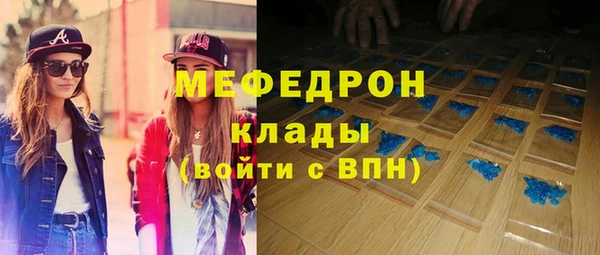 гидра Ельня