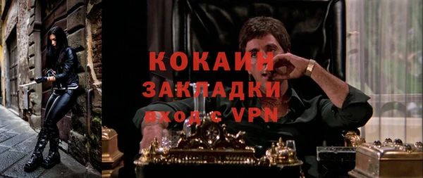 гидра Ельня