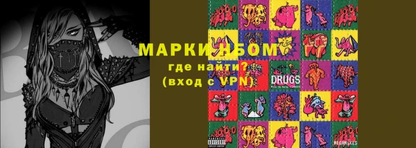 гидра Ельня