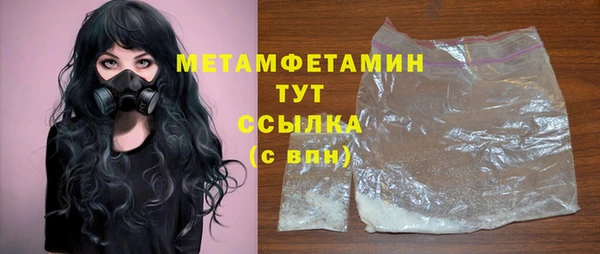 гидра Ельня