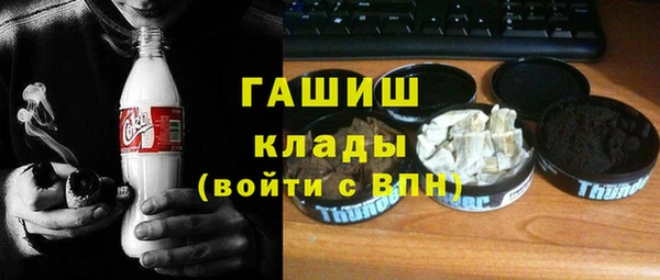 гидра Ельня