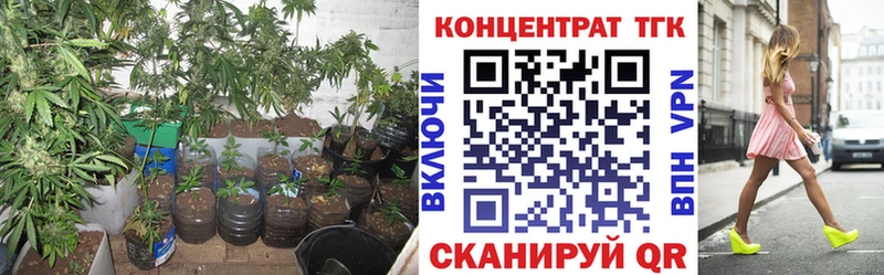 продажа наркотиков  Людиново  ТГК THC oil 