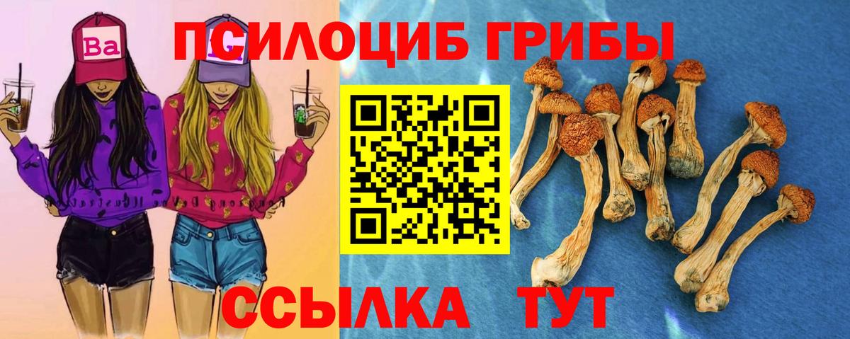 Гашиш  Людиново  Каннабис  КОКАИН  ГАШ  Меф МЯУ МЯУ кристаллы  Вход с VPN 